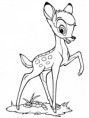 /album/disney1/wd-8-jpg/